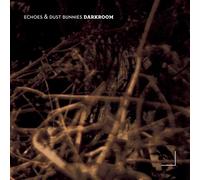 Echos & Dust Bunnies - KICK THE FLAME Darkroom