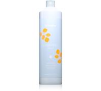 Echosline Hydrating Shampoo shampoo idratante per capelli secchi e ribelli 1000 ml