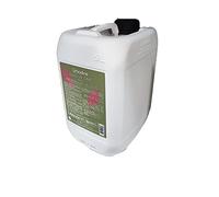 Echosline Shampoo mantenimento Colore-Capelli colorati e trattati 5 Litri Colour Care