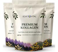 Echt Vital Collagene 3x450 g Polvere