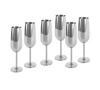 ECHTWERK Set di 6 bicchieri da spumante e champagne in acciaio inox, edizione argento, 250 ml, 22,5 x 6,3 cm, 22,5 x 6,3 cm