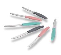 ECHTWERK Set di 6 coltelli da pane (acciaio inox con bordo seghettato, manico in plastica, 2 rosa, 2 grigi e 2 turchesi)