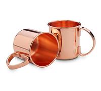 ECHTWERK set di bicchieri in rame, bicchieri in acciaio inox, set da cocktail, bicchieri da cocktail perfetti per gin, vodka e bevande fredde, 2x bicchieri in rame 450ml