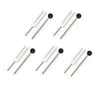 Echwave 5X Lega di Alluminio + Legno Meccanico Chakra Hammer Ball Diagnostico 528Hz con Mallet Set Nervoso Test Sintonizzazione Assistenza Sanitaria