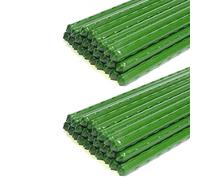 Echwave Confezione da 50 pali da giardino in metallo e plastica, per piante rivestite, per l'arrampicata su pomodori, bagni, cetrioli, recinzioni, fagioli, 40 cm