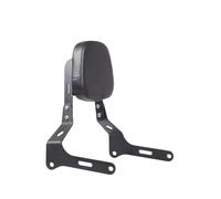 ECKBRJA Schienale Sissy Bar Staccabile per Passeggero Posteriore per Moto con Cuscino per Kawasaki per Eliminator 500 2024 2025 Maniglia passeggero Moto