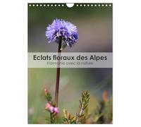 Éclats floraux des Alpes - Harmonie avec la nature (Calendrier mural 2026 DIN A4 horizontal), CALVENDO calendrier mensuel: Découvrez l'harmonie ... florale de cette région majestueuse.