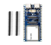 ECMQS GPIO Access Development Board P4 RISC V con tipo C, non saldato | Costruzione del progetto e prototipazione