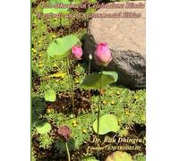 Eco- Dharma in Celebration : Hindu Festivals and Environmental Ethics: Hindu Festivals