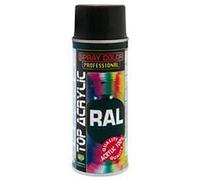 Eco Service 90010/001P Top Acrylic Ral 9005, Nero Lucido