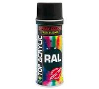 Eco Service 90010/018P Vernice Spray