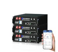 ECO-WORTHY 3 Pacchi LiFePO4 48V 100Ah Batteria per Rack Server Bluetooth con 100A BMS, 15,36kWh 3U Alloggiamento Server Rack Batteria al litio con Supporto CAN&RS485 per Impianto Solare Set Completo