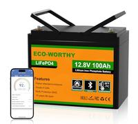 ECO-WORTHY Batteria 12V 100Ah LiFePO4 BMS Bluetooth