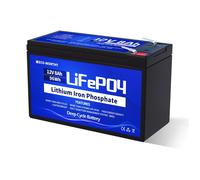 ECO-WORTHY - Batteria al litio LiFePO4, 12 V, 8 Ah, ricaricabile a 15000 cicli profondi e protezione BMS, per campeggio, impianto solare, camper, ecoscandaglio, barca, passeggino, pannello solare