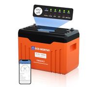 ECO-WORTHY Batteria al Litio LiFePO4 da 24 V 100 Ah con Bluetooth, BMS, SOC e Protezione a Bassa Temperatura, Max 15000 Cicli, 2560 Wh per Memorizzazione di Energia Domestica, Camper, Sistemi