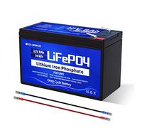 ECO-WORTHY Batteria LiFePO4 12V 8AH, batteria al litio a ciclo profondo con BMS da 8A, con oltre 4000 cicli, per solare, localizzatore di pesci, ruote di potenza, illuminazione, sistema di allarme