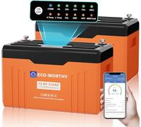 ECO-WORTHY LiFePO₄ Batteria 12V 314Ah EnergyTrek*2, Bluetooth e Display, Batteria Litio 12V con BMS, Numero Massimo di Cicli 15000, Lifepo4 Ferro Fosfato da 4019Wh, Adatta per Camper e Pannello solare