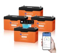 ECO-WORTHY LiFePO₄ Batteria 12V 314Ah EnergyTrek*4, Bluetooth e Display, Batteria Litio 12V con BMS, Numero Massimo di Cicli 15000, Lifepo4 da 4019Wh ciascuna, Adatta per Camper e Pannello solare