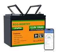 ECO-WORTHY LiFePO4 100 Ah Bluetooth, batteria al litio 12 V 100 Ah con protezione BMS a bassa temperatura e max. 15000 cicli, batteria da 1280 Wh per camper, barca, pannello solare