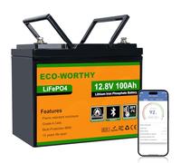 ECO-WORTHY LiFePO4 100Ah Bluetooth batteria al litio 12V