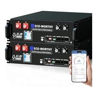 ECO-WORTHY LiFePO4 48 V 100 Ah Batteria per Rack Server IEC 62619 Bluetooth con 100 A BMS, 10,24 kWh, Alloggiamento 3U, Batteria al Litio con Supporto CAN&RS485 per Impianto Solare, set Completo