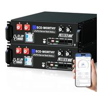 ECO-WORTHY LiFePO4 48 V 100 Ah CUBIX 100 Bluetooth con 100 A BMS, 10,24 kWh, alloggiamento 3U, batteria al litio con supporto CAN&RS485 per impianto solare, set completo, impianto fotovoltaico, IEC
