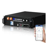 ECO-WORTHY LiFePO4 48V 100Ah V3 Bluetooth con BMS 100A, Batteria al litio 5,12KWh 48V Armadio Server Batteria Solare per Impianto Solare Set Completo, Impianto Fotovoltaico