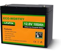 ECO-WORTHY LiFePO4 Batteria Litio 12v 100Ah con Protezione BMS a Bassa Temperatura e 4000+ cicli, Batteria da 1280Wh per Camper, Barca, Casa, Kit di Pannelli Solari, Campeggio