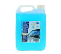 ECOBUDGET 020261 Liquido lavavetri invernale