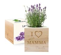 EcoCube personalizzabile con incisione I love mia mamma (Lavanda)