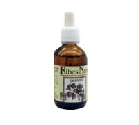 Ribes Nero Gemme Gtt 100ml