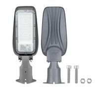 Ecolight LED Lampione Esterno 30W - Bianco Freddo 6500K IP65 Illuminazione Esterna di Sicurezza Proiettore LED per Parcheggio, Cortile, Garage e Giardino