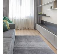 ECOMMERC3 Soft - Tappeto Salon Capelli Medio Argento 120 x 170 cm con texture morbida e imbottita | Tappeto antiscivolo in poliestere e 3D Backing | Tappeto lavabile in lavatrice