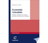 Economia aziendale. Principi, dinamica dei valori, bilancio, governo dell'impresa