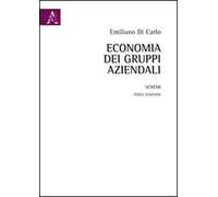 Economia dei gruppi aziendali. Schemi