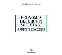 Economia dei gruppi societari