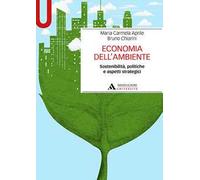 Economia dell'ambiente. Sostenibilità, politiche e aspetti strategici