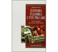 Economia flessibile e vite precarie. Lavoro e migrazioni nel racconto dei cittadini stranieri