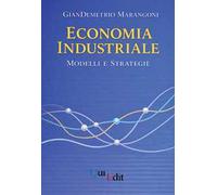 Economia industriale. Modelli e strategie
