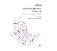 Economia, territorio e azienda. Lineamenti e prospettive di analisi