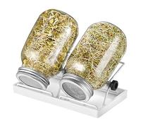 ecooe Germogli, set di 2 vasetti per germogli in vetro per germogli con 1 ciotola d'acqua, 2 coperture in acciaio inox 304 e 2 supporti