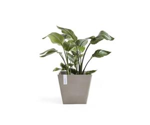 ECOPOTS Vaso quadrato Rotterdam 50 tortora 50 x 50 x H. 44 cm - 75 L