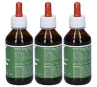Ecosalute Depurativo Fegato Potenziato 3x100 ml Soluzione orale