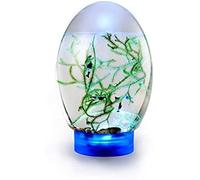 Ecosfera Ecosistema Acquatico Chiuso, con Acquario da Tavolo con Base LED