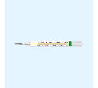 EcoTemp Termometro Clinico Medel 1 Pezzo