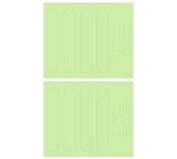 ECSiNG 2pcs Drone Adesivo Luminoso Decorazione Della Pelle Fluorescente Decalcomanie Volo Notturno Compatibile con Mavic Air 2/Autel EVO 2/Mavic Pro/Mavic Air