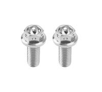 ECSiNG 2pz M6x15mm Bulloni A Testa Esagonale Flangiati Bullone Esagonale In Titanio Completamente Filettato Bulloni Forati Per Bici Sportive E Kart Filo Di Bloccaggio Argento