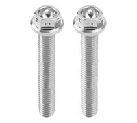 ECSiNG 2pz M6x40mm Bulloni A Testa Esagonale Flangiati Bullone Esagonale In Titanio Completamente Filettato Bulloni Forati Per Bici Sportive E Kart Filo Di Bloccaggio Argento
