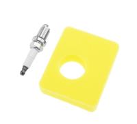 ECSiNG Kit Di Manutenzione Filtro Aria 799579 Compatibile con Briggs & Stratton Serie Motori 300e 450e 500e 550e 550ex Con Candela Filtro Aria Spark K6RTC