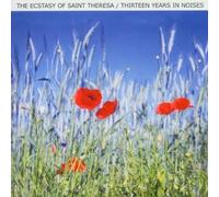 Ecstasy Of Saint Theresa - 13 Years in Noises